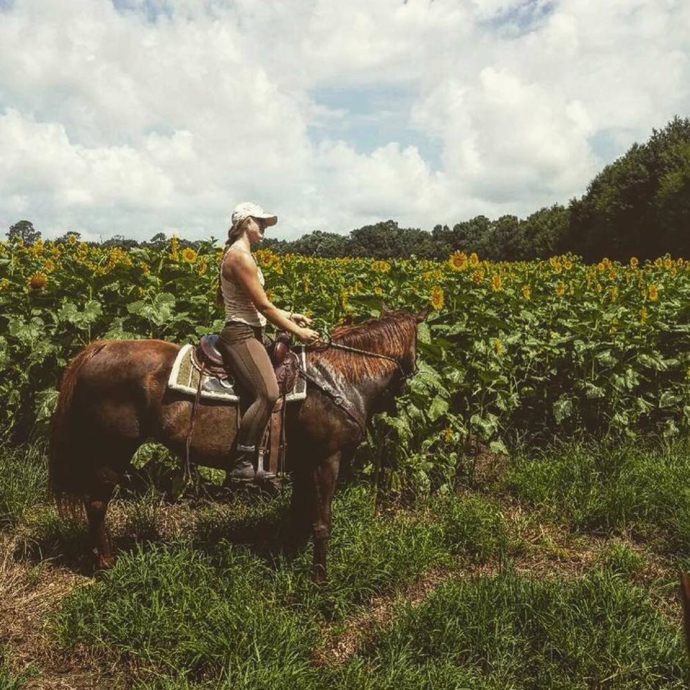 Meet your Posher, Shelby